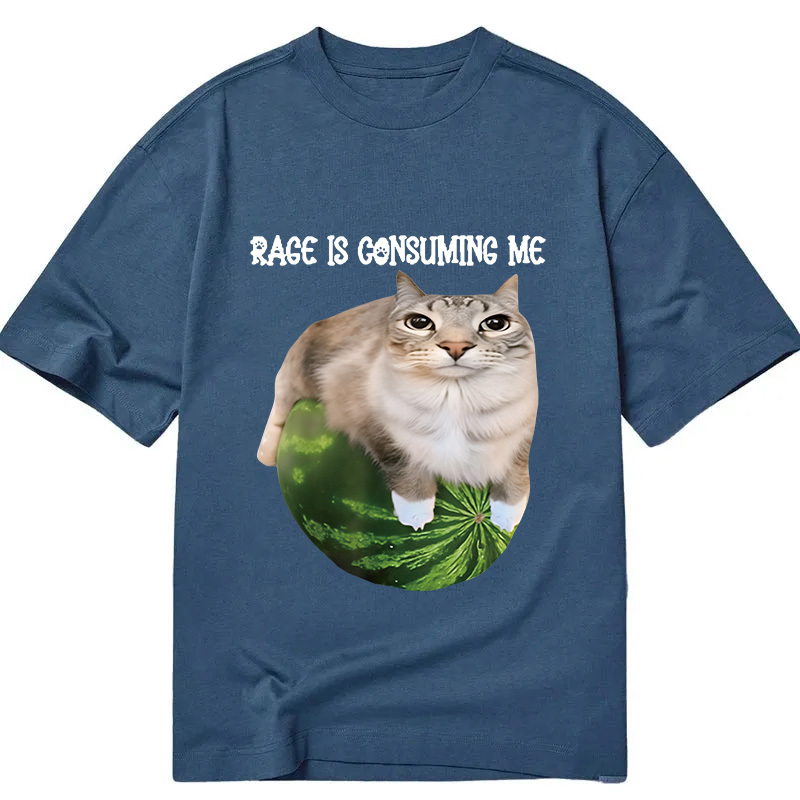 Rage Is Consuming Me Cat Meme Classic T-Shirt