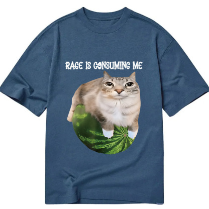 Rage Is Consuming Me Cat Meme Classic T-Shirt