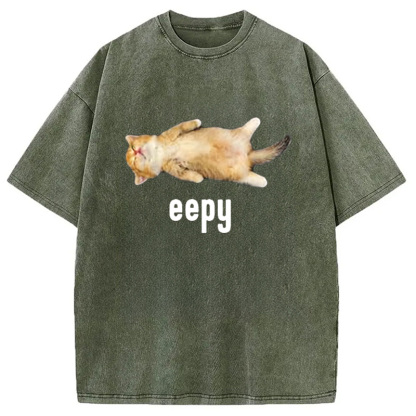 Silly Sleepy Cat Meme Washed T-Shirt