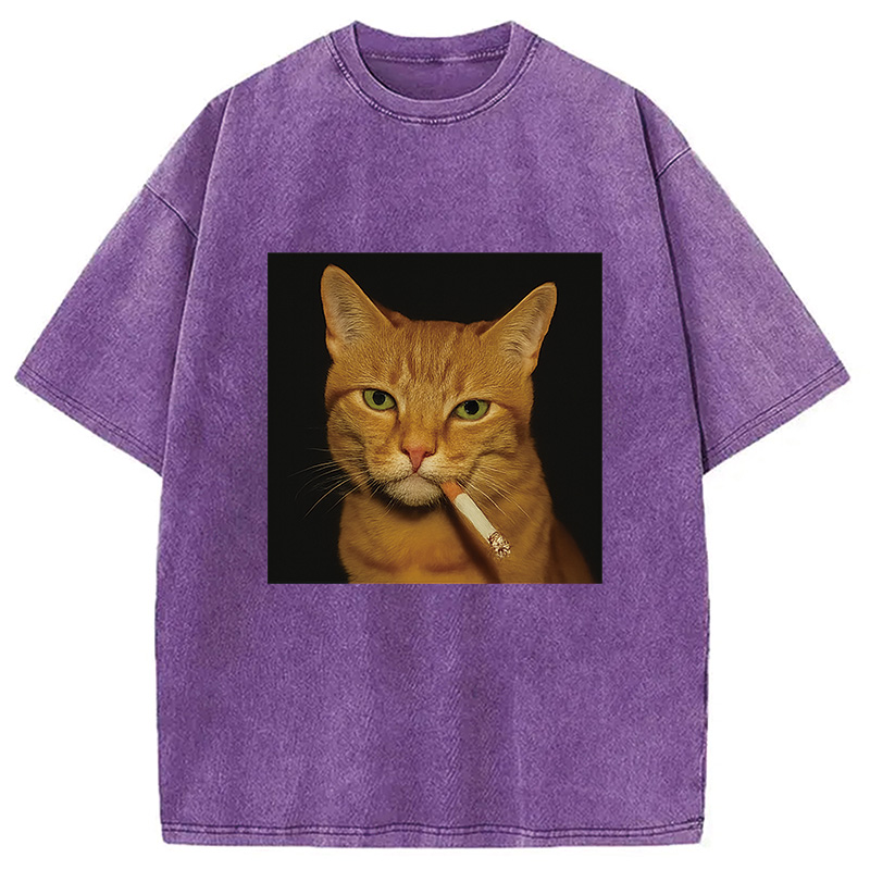 Funny Orange Cat Smoking Meme Washed T-Shirt