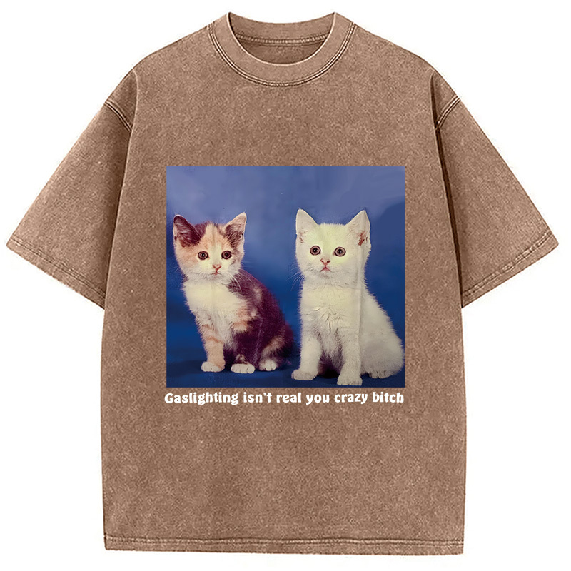 Gaslighting Isn't Real You Crazy Bit*h Washed T-Shirt