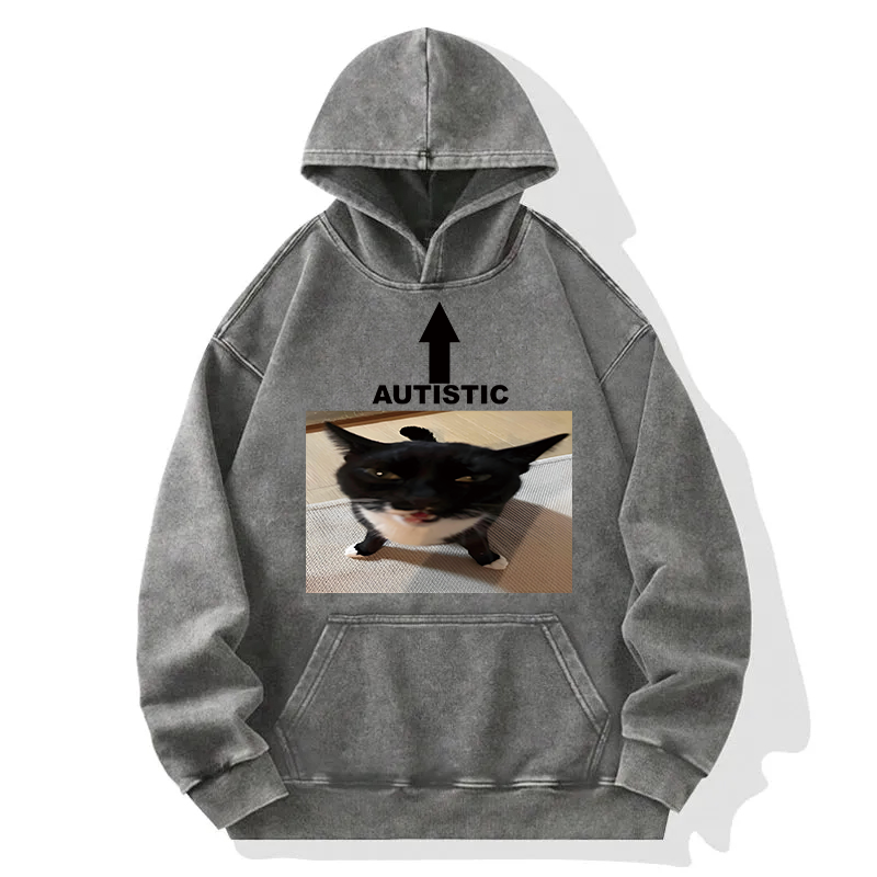 Autistic Cat Washed Hoodie