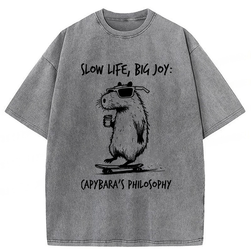 Tokyoviva Capybara Playing On A Skateboard Washed T-Shirt