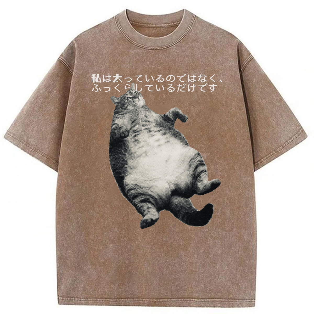 Tokyoviva I'm Not Fat I'm Fluffy Washed T-shirt