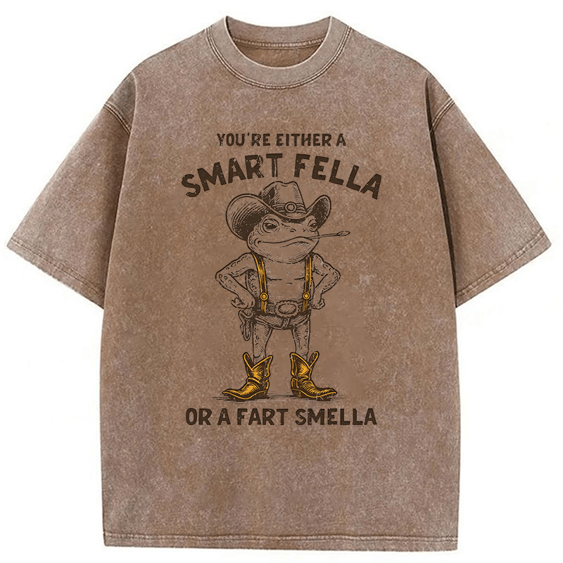 Tokyoviva Smart Fella Or Fart Smella Retro Cartoon Frog Washed T-shirt