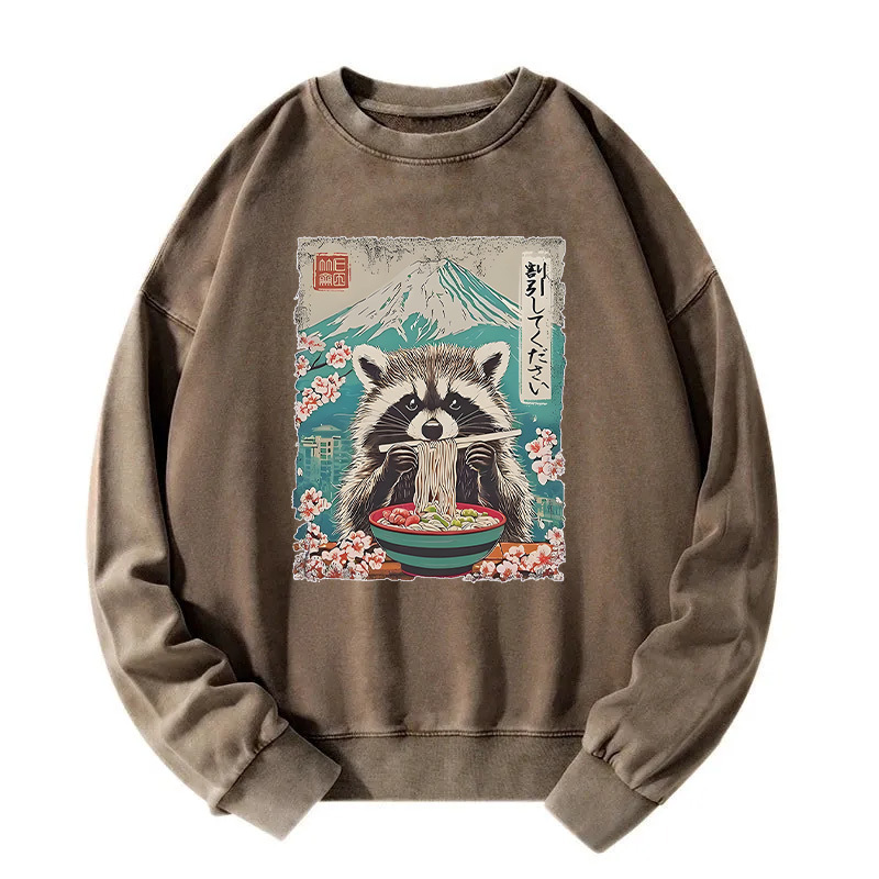 Please Give Raccoon A Discount Washed Sweatshirt