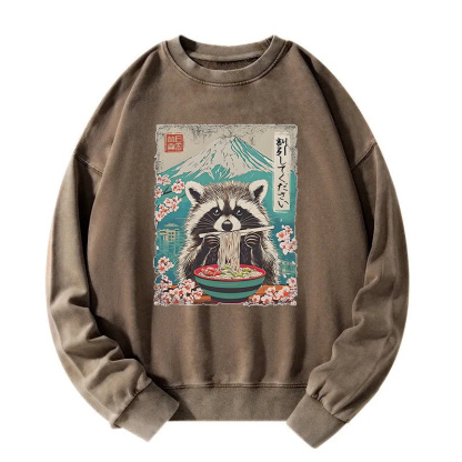 Please Give Raccoon A Discount Washed Sweatshirt