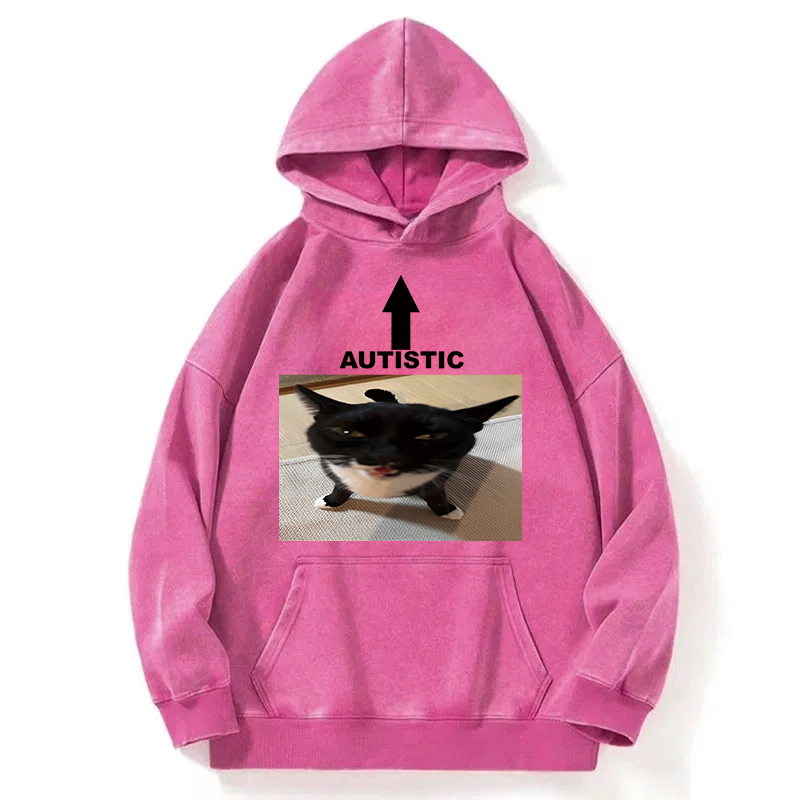 Autistic Cat Washed Hoodie