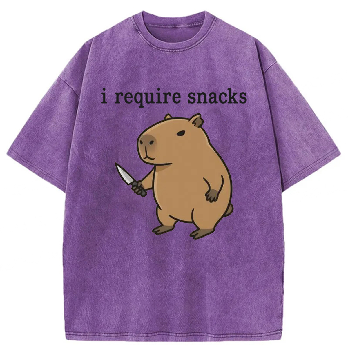 Tokyoviva I Require Snacks Capybara Washed T-shirt