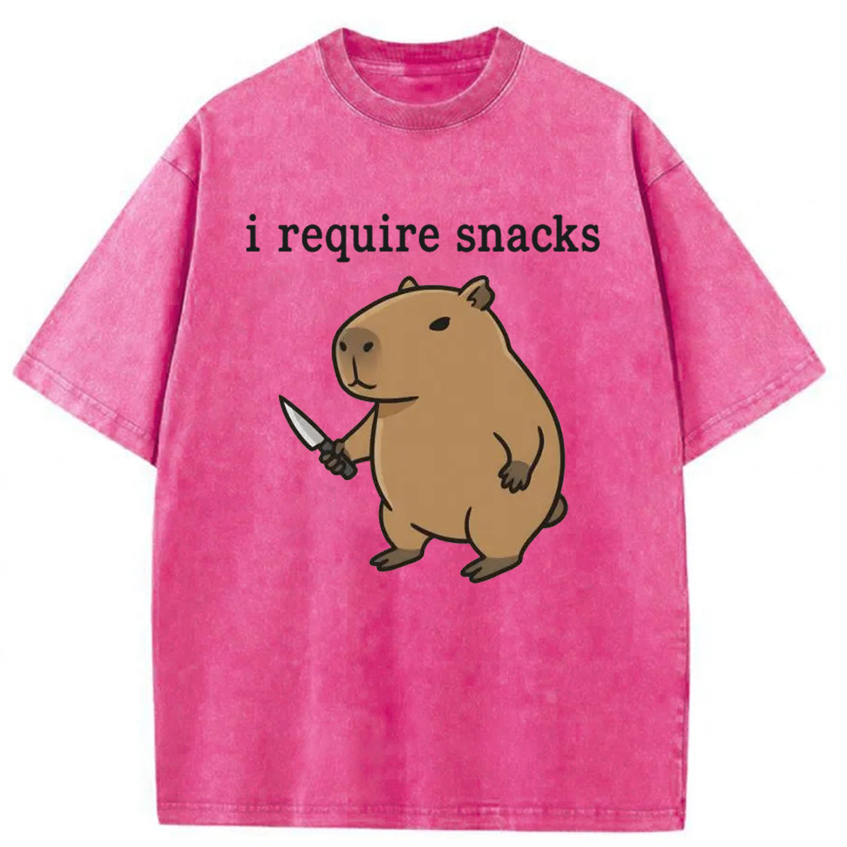 Tokyoviva I Require Snacks Capybara Washed T-shirt