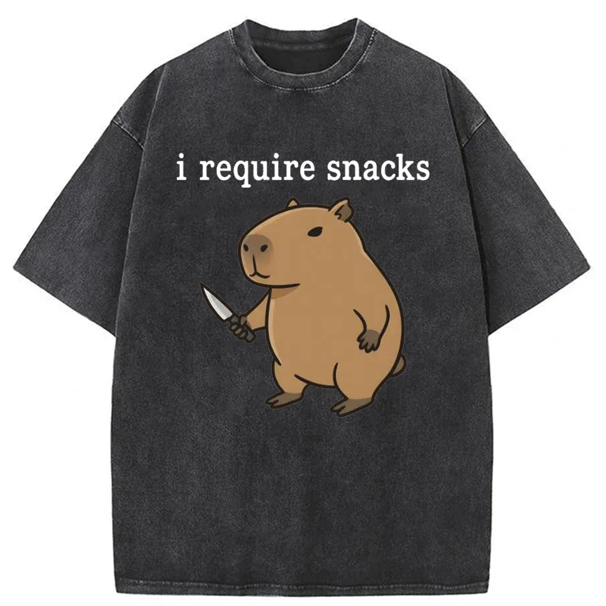 Tokyoviva I Require Snacks Capybara Washed T-shirt