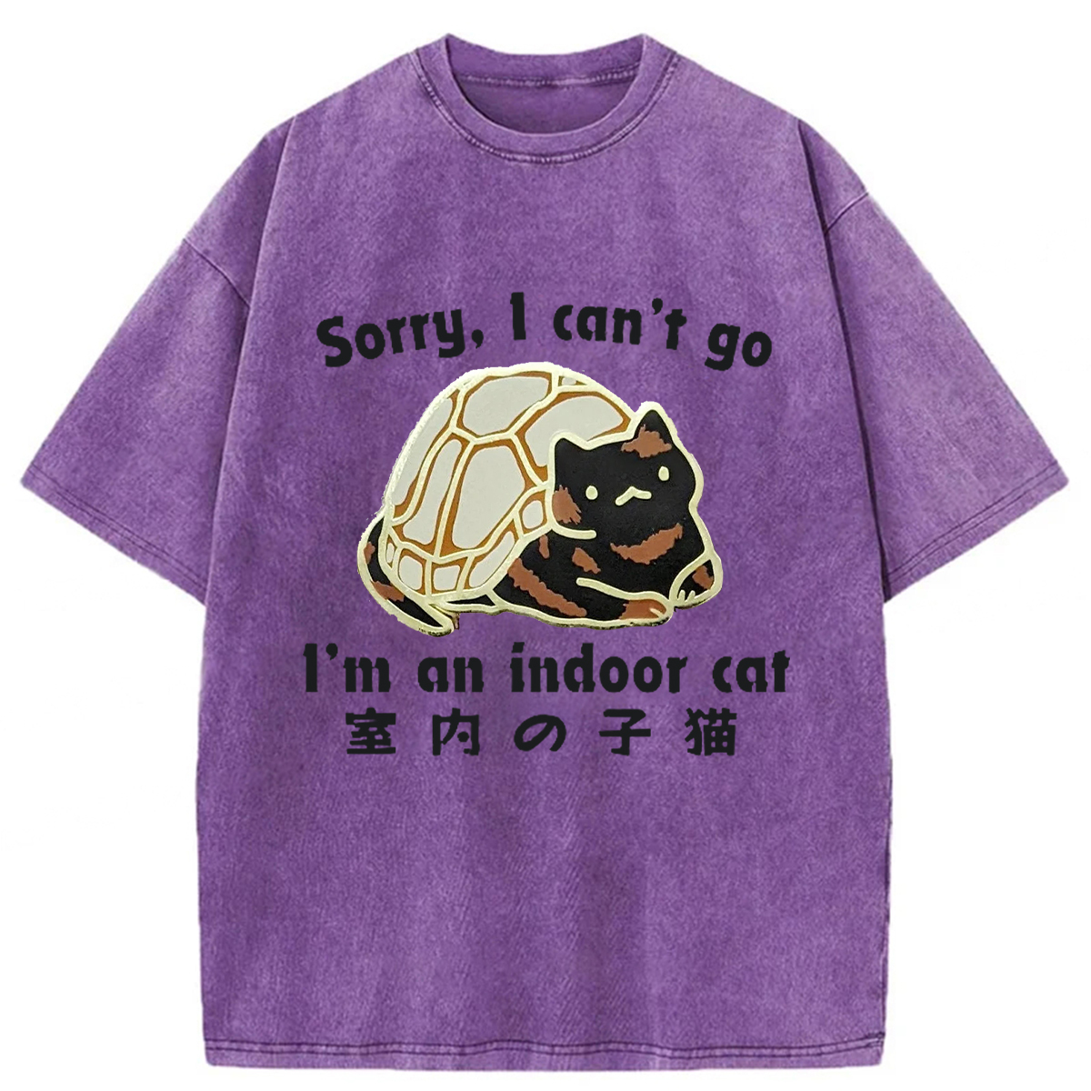 Tokyoviva Indoor Cats Washed T-shirt