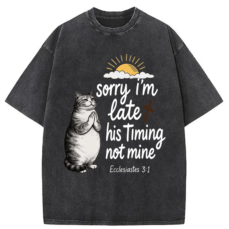 Tokyoviva God's Timing Not Mine Washed T-shirt