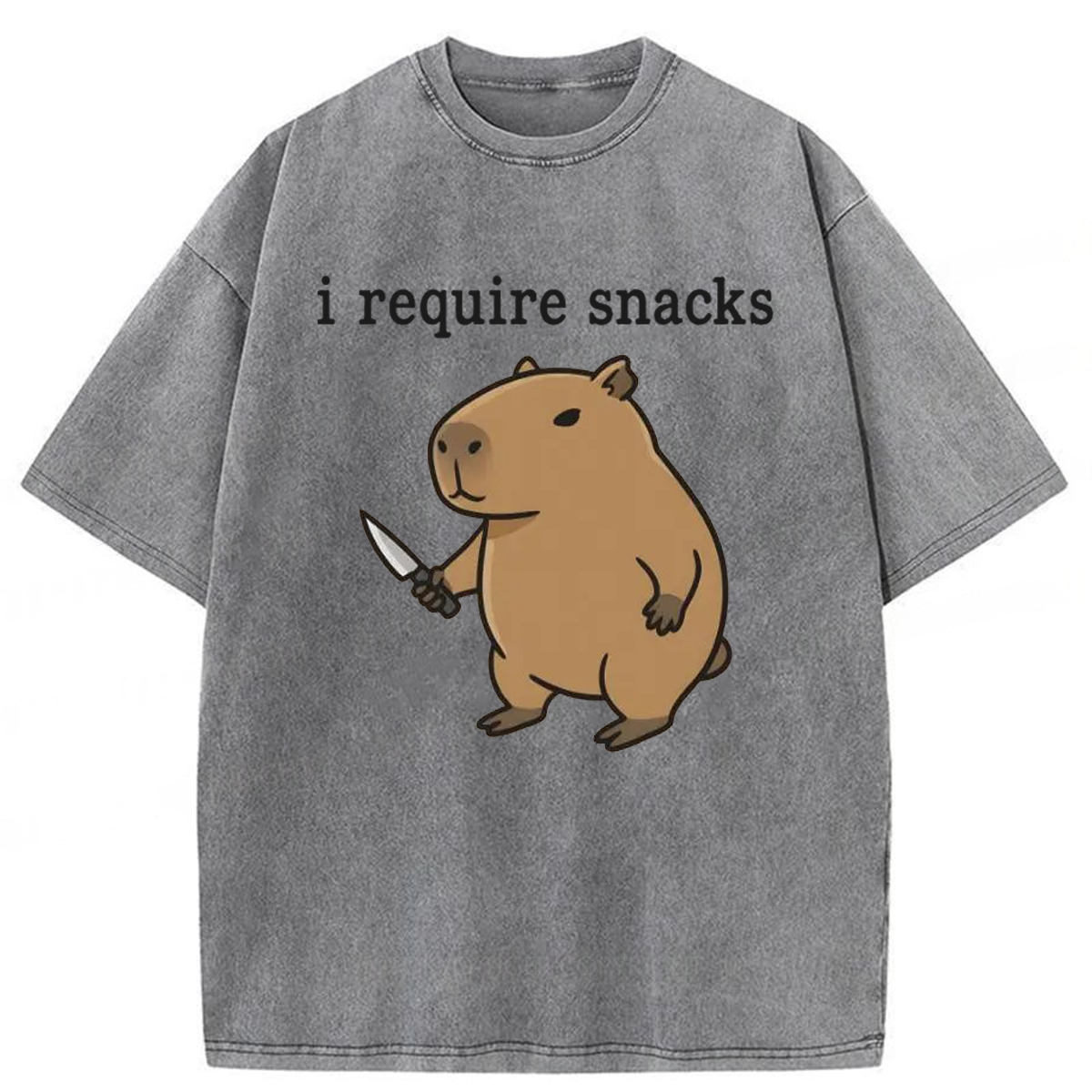Tokyoviva I Require Snacks Capybara Washed T-shirt