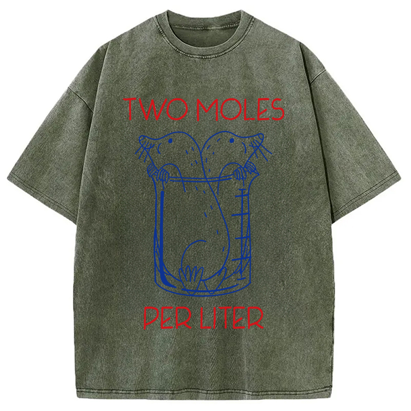 Two Moles Per Liter Washed T-Shirt
