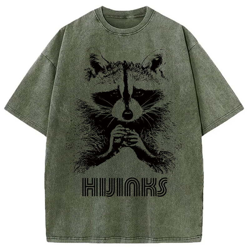 Raccoon Hijinks Washed T-Shirt