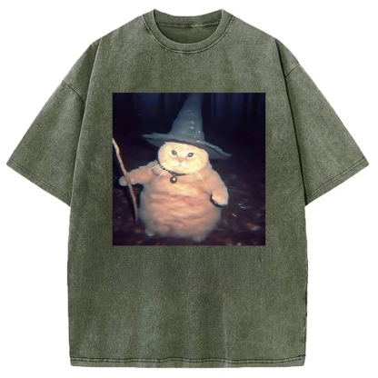 Wizard Cat Funny Halloween Washed T-Shirt
