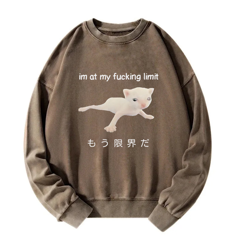 Cat Reaching Its Limit Washed Sweatshirt