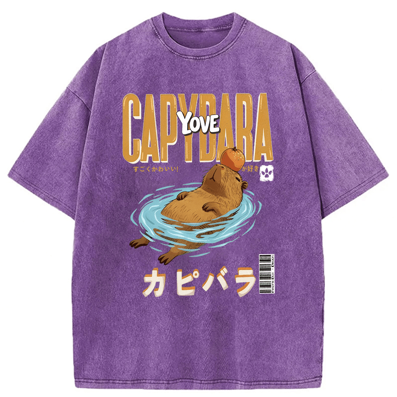Tokyoviva Capybara Funny Washed T-shirt