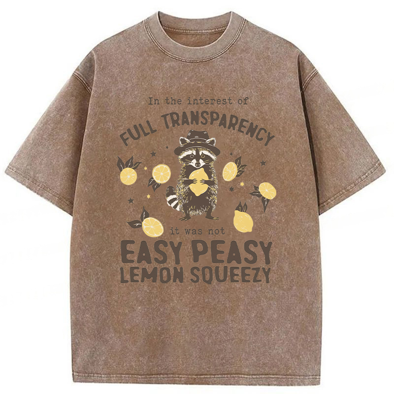 Tokyoviva Raccoon Easy Peasy Lemon Squeezy Washed T-shirt