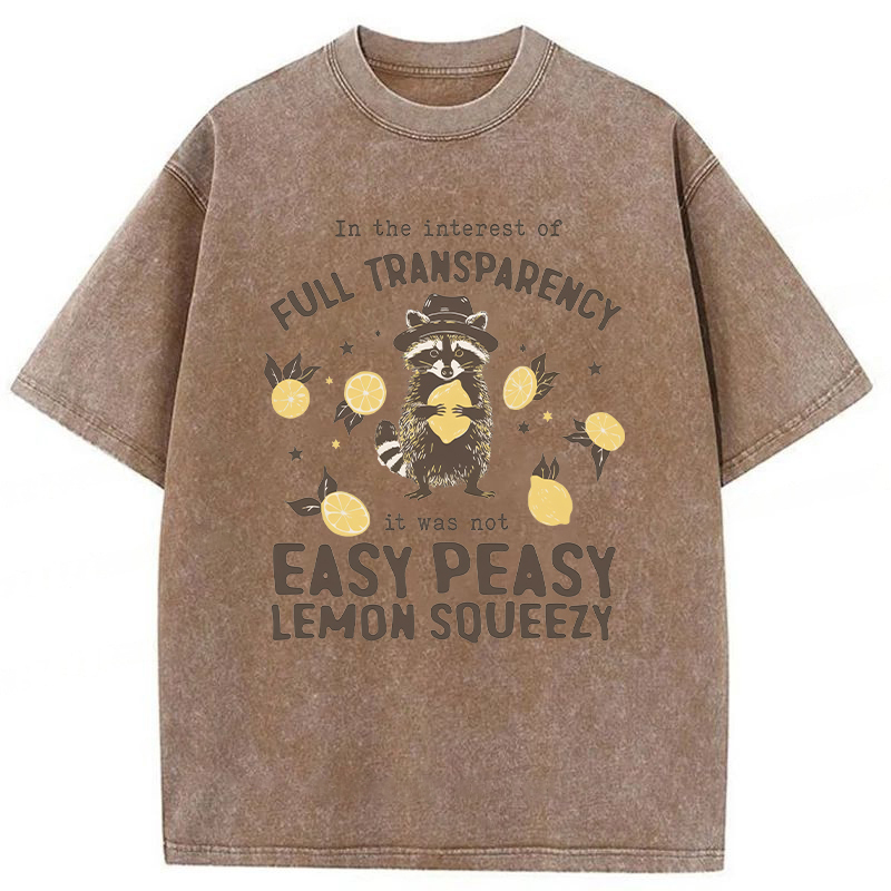 Tokyoviva Raccoon Easy Peasy Lemon Squeezy Washed T-shirt
