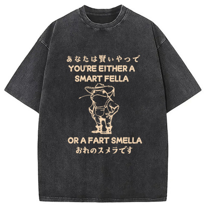 Are You A Smart Fella Or Fart Smella Washed T-Shirt