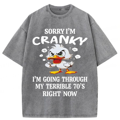 Tokyoviva Sorry I'm Cranky Washed T-shirt