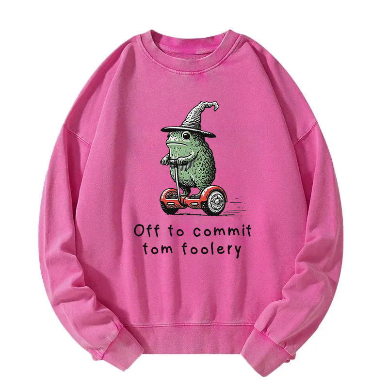 Frog Riding A Balance Scooter Washed Sweatshirt