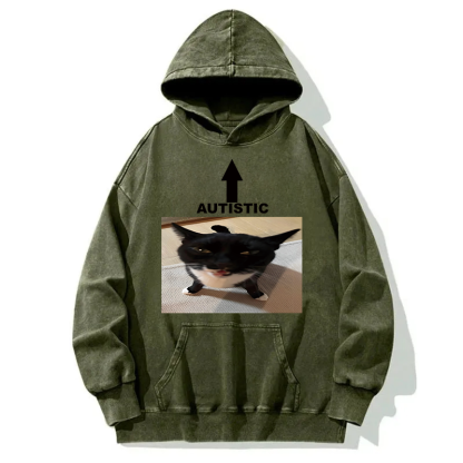 Autistic Cat Washed Hoodie