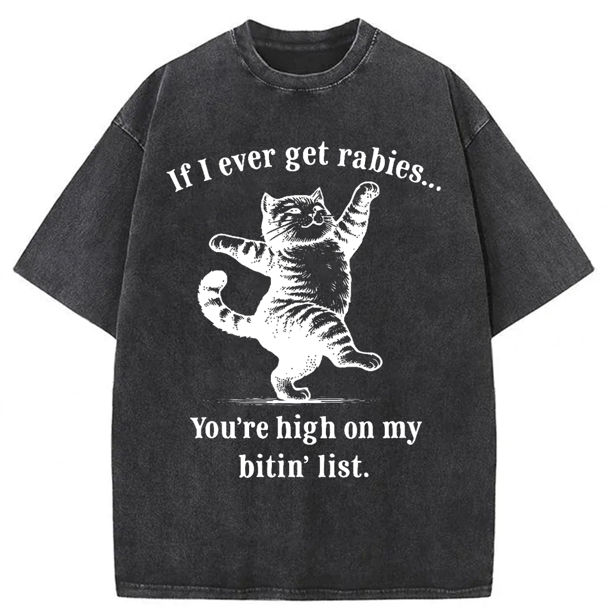 Tokyoviva If I Ever Get Rabies You’re High On My Bitin’ List Washed T-shirt