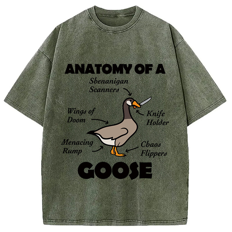Anatomy of A Goose Washed T-Shirt