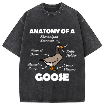 Anatomy of A Goose Washed T-Shirt