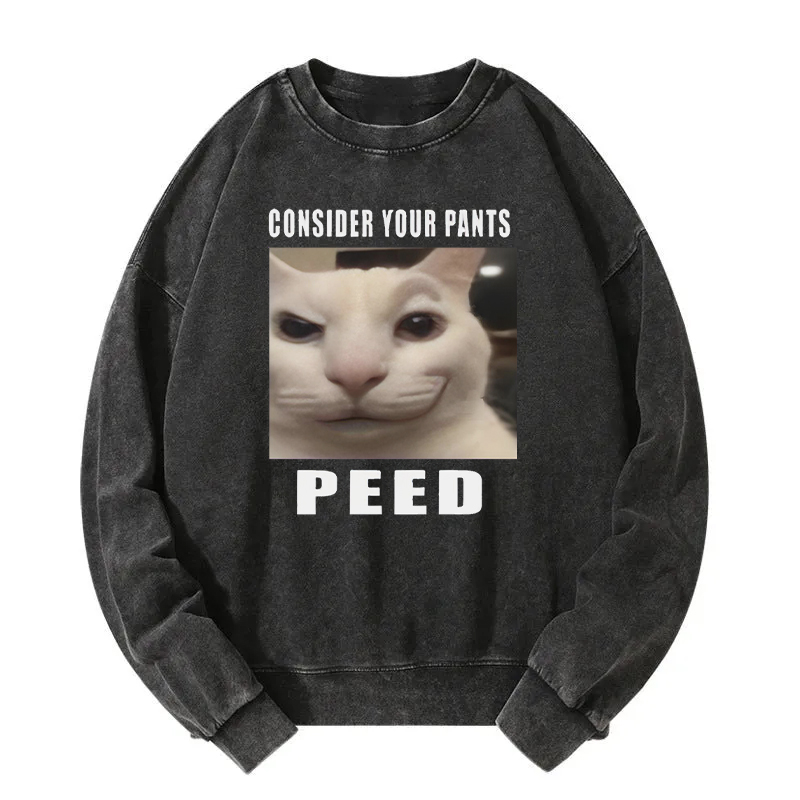 Consider Your Pants Peed Meme Washed Sweatshirt