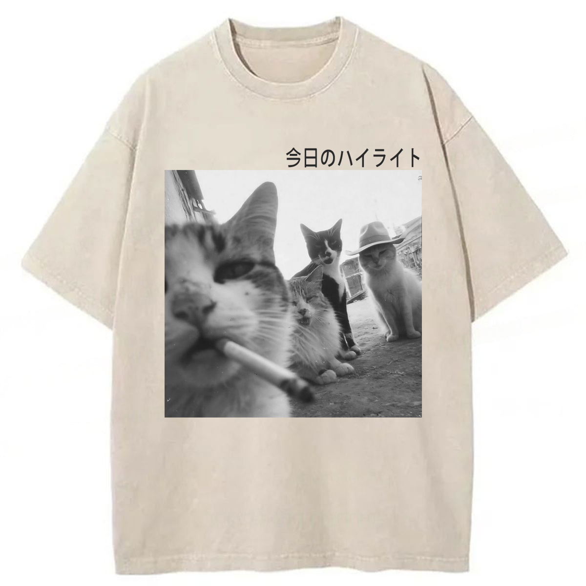 Tokyoviva Wonderful Moments Cats Washed T-shirt