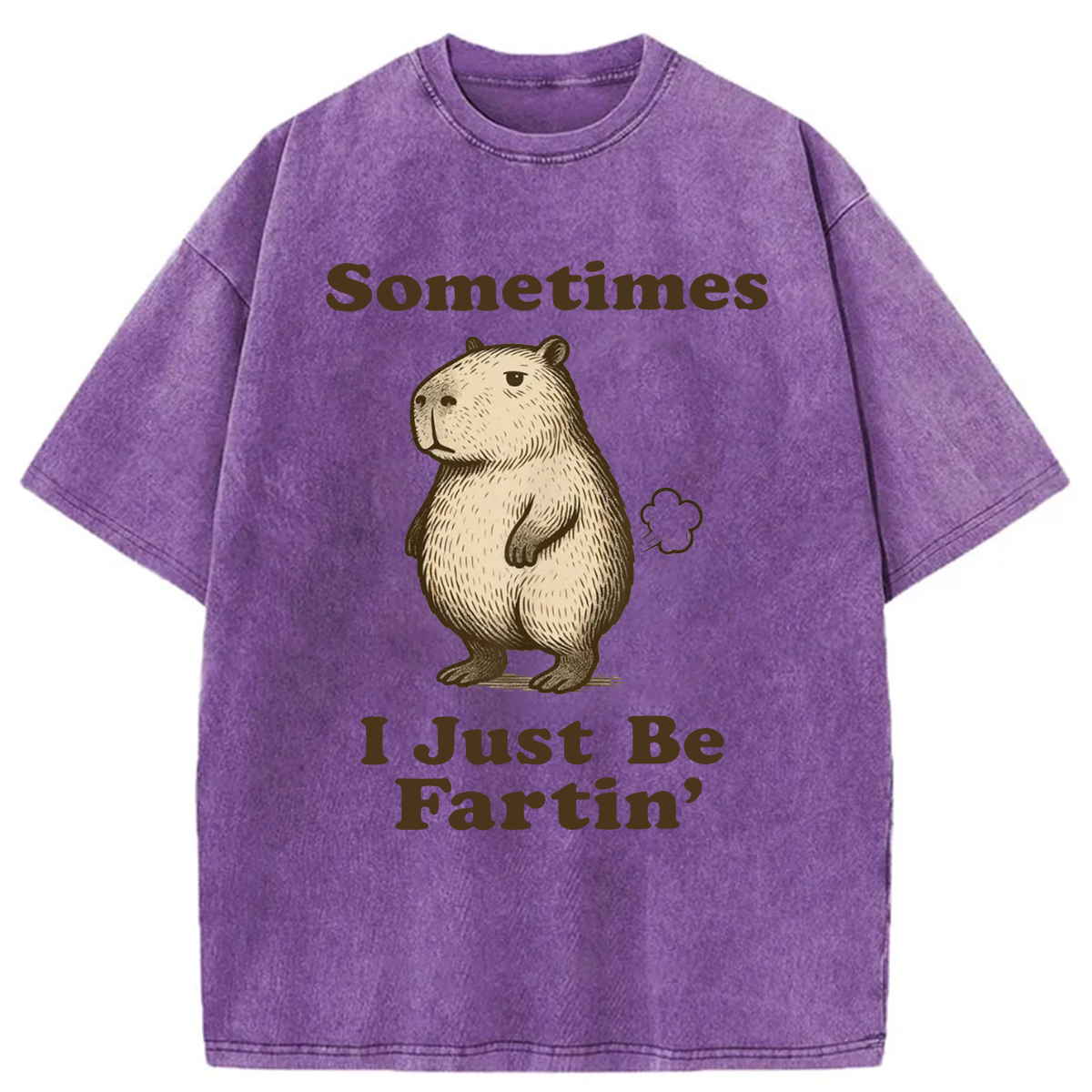 Tokyoviva Sometimes I Just Be Fartin' Capibara Washed T-shirt