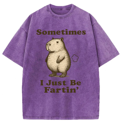 Tokyoviva Sometimes I Just Be Fartin' Capibara Washed T-shirt