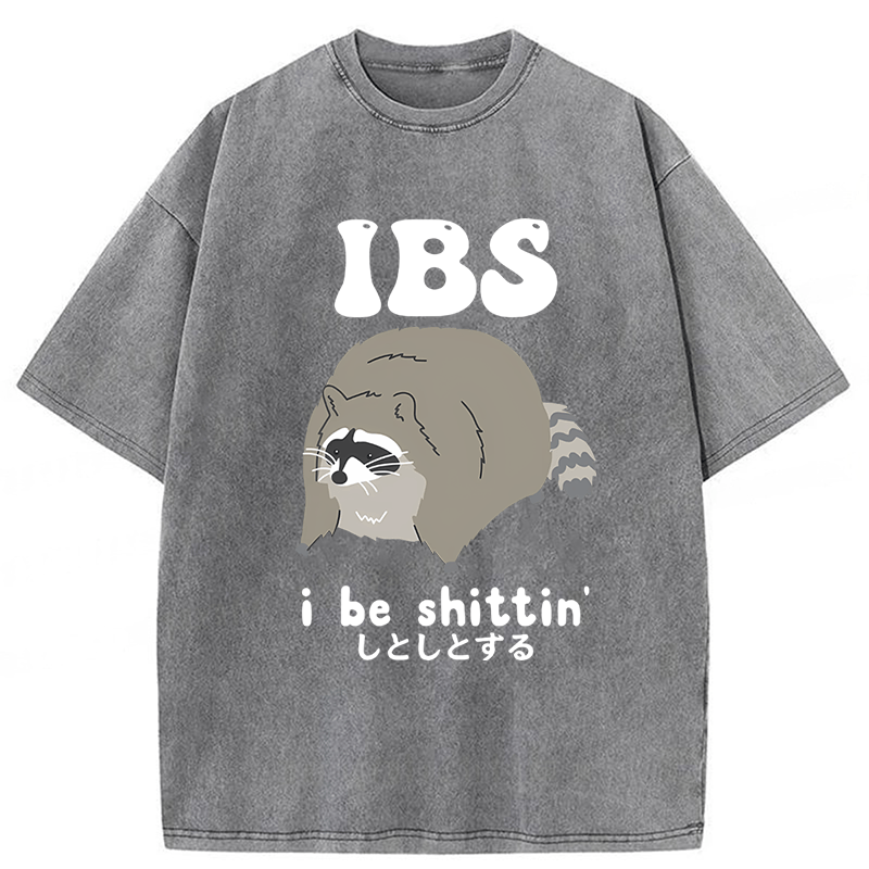 Tokyoviva IBS Raccoon Be Shittin Washed T-shirt