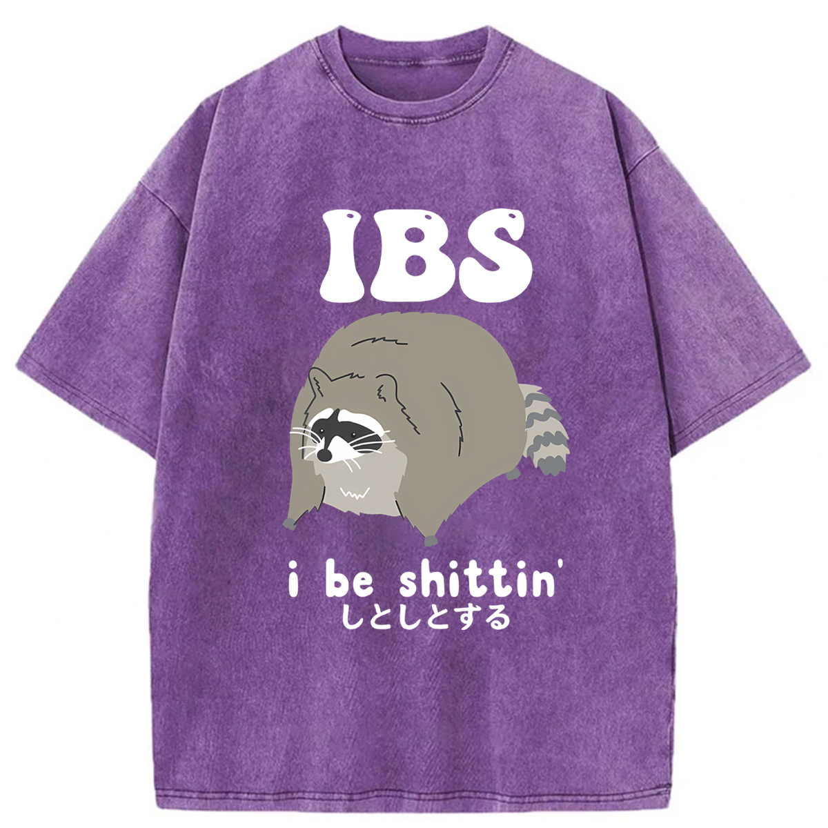Tokyoviva IBS Raccoon Be Shittin Washed T-shirt