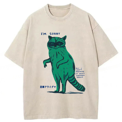 Tokyoviva Thief Raccoon Washed T-shirt