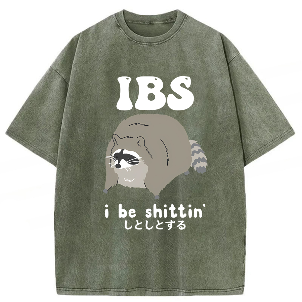 Tokyoviva IBS Raccoon Be Shittin Washed T-shirt
