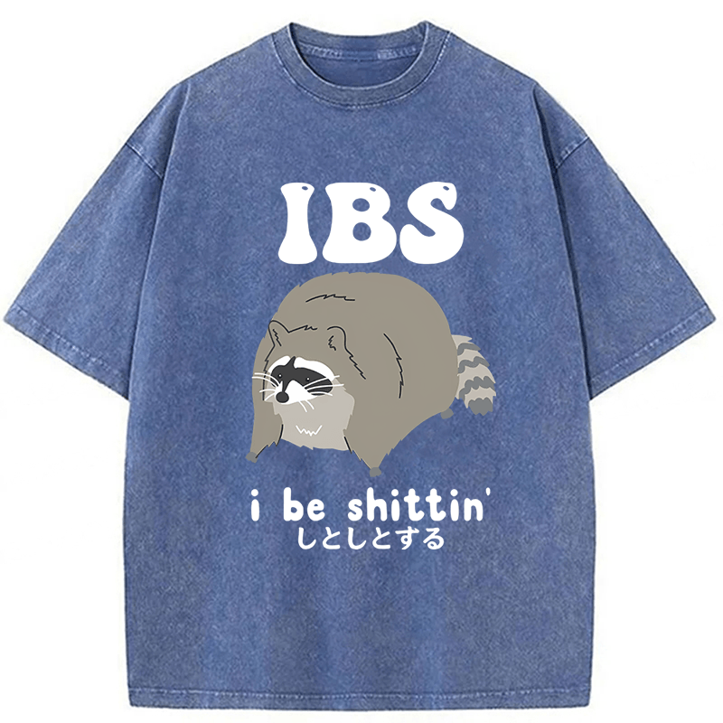 Tokyoviva IBS Raccoon Be Shittin Washed T-shirt