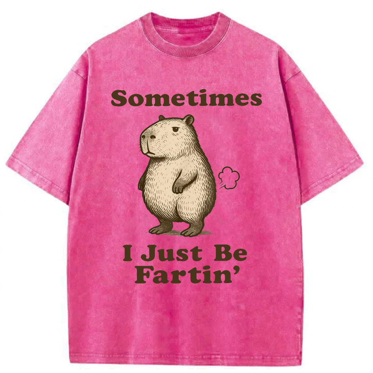 Tokyoviva Sometimes I Just Be Fartin' Capibara Washed T-shirt