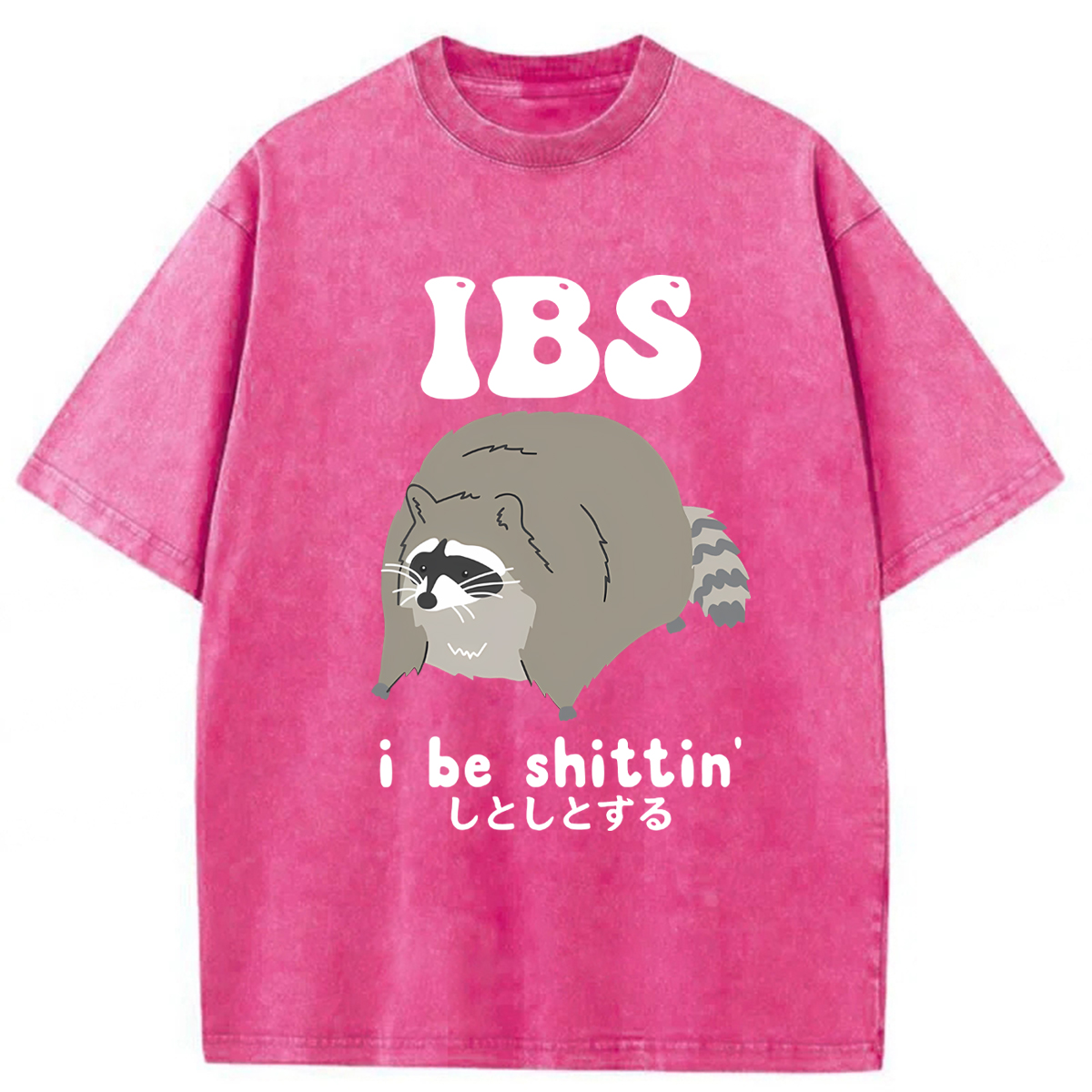 Tokyoviva IBS Raccoon Be Shittin Washed T-shirt
