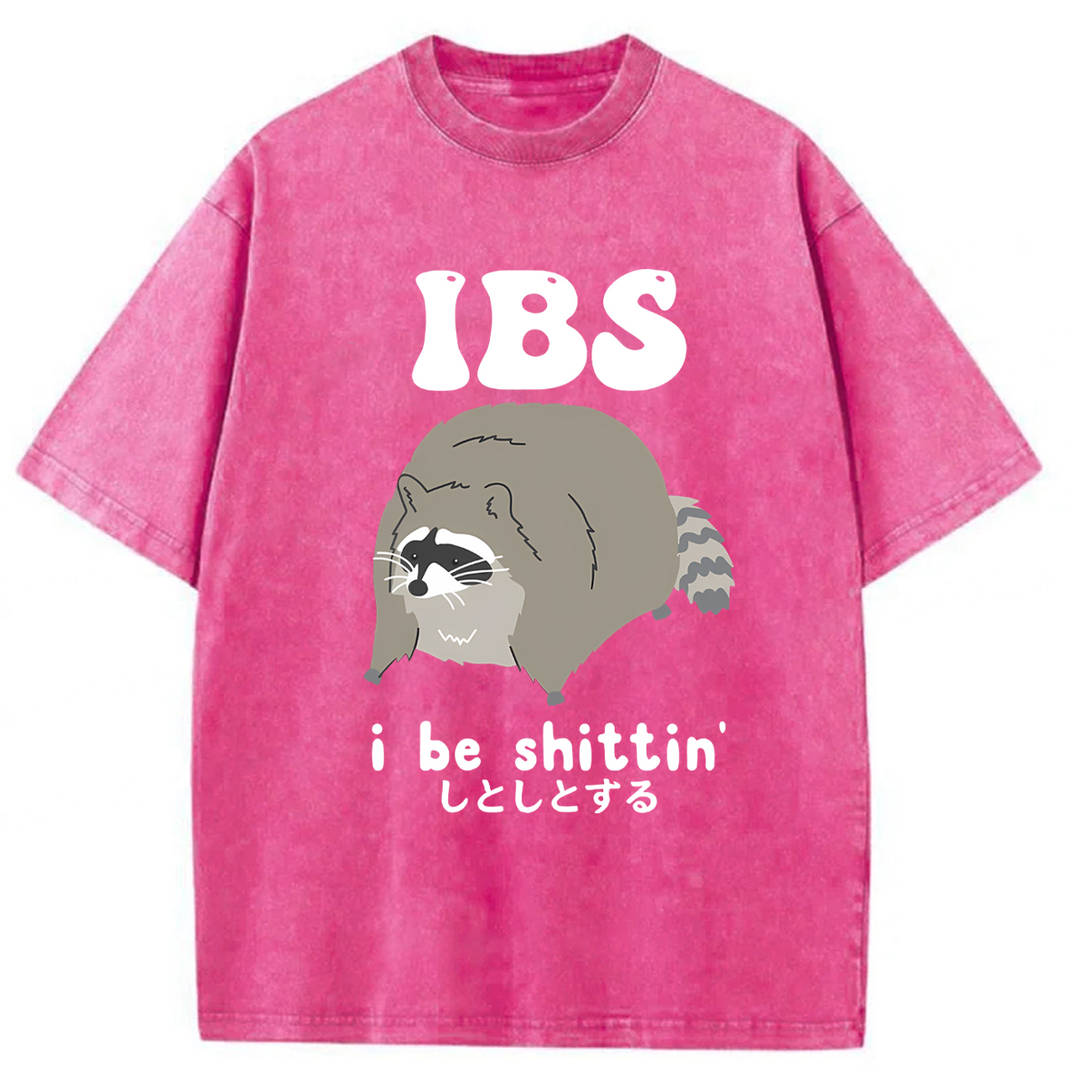 Tokyoviva IBS Raccoon Be Shittin Washed T-shirt
