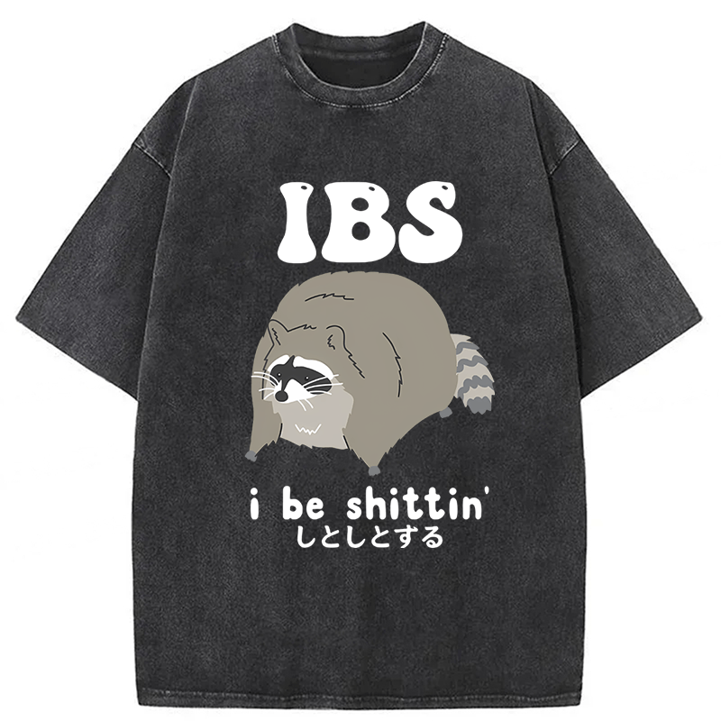 Tokyoviva IBS Raccoon Be Shittin Washed T-shirt
