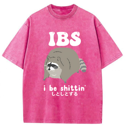 Tokyoviva IBS Raccoon Be Shittin Washed T-shirt
