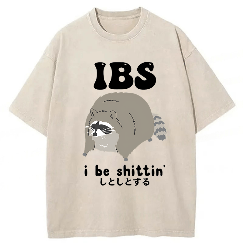 Tokyoviva IBS Raccoon Be Shittin Washed T-shirt
