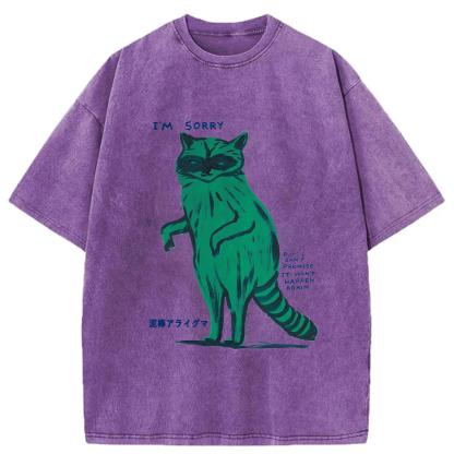 Tokyoviva Thief Raccoon Washed T-shirt