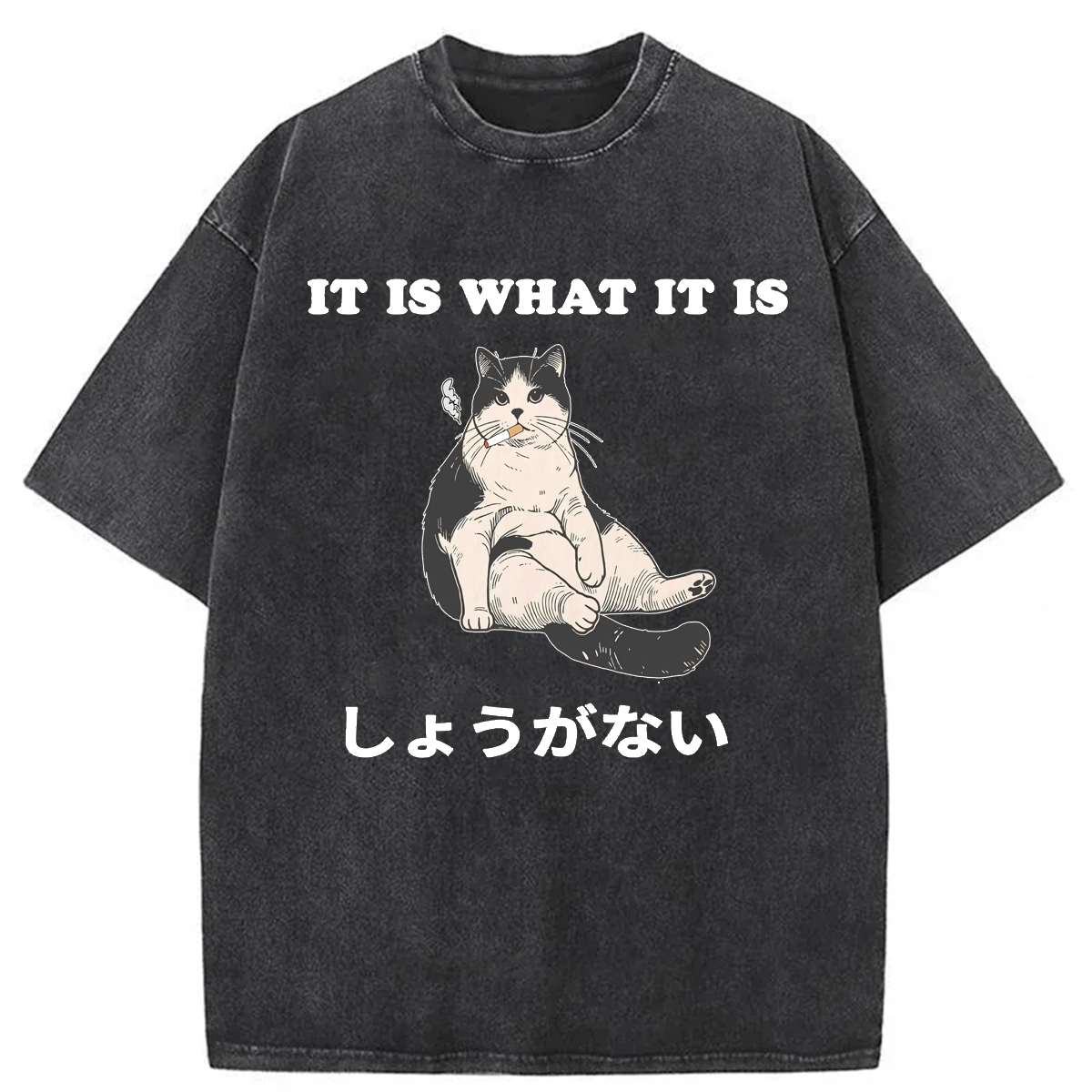 Tokyoviva It Is What It Is Smoking Cat Washed T-shirt