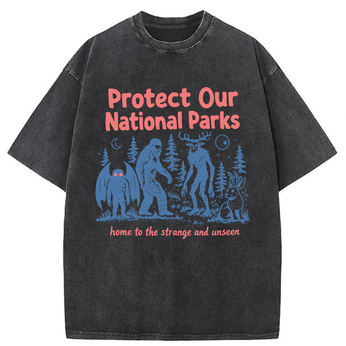 Tokyoviva Cryptid National Parks Washed T-shirt